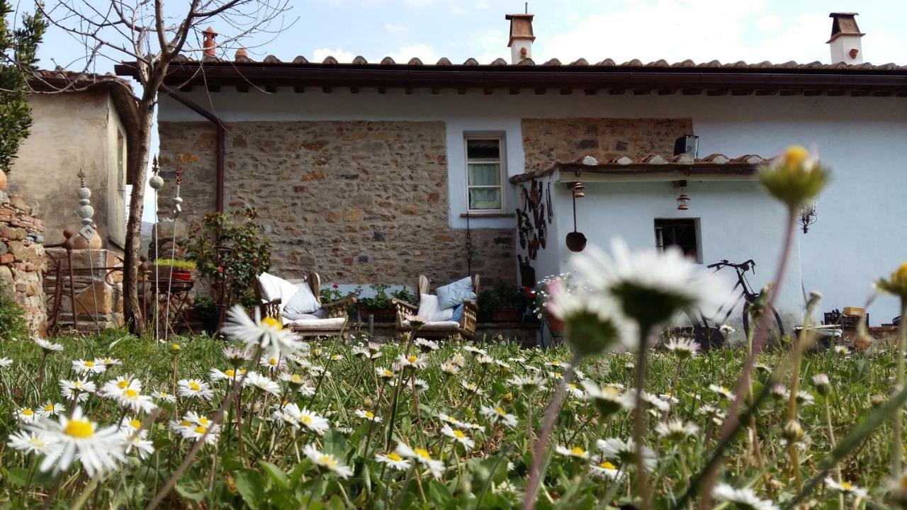 Il Colle Calci Βίλα Εξωτερικό φωτογραφία