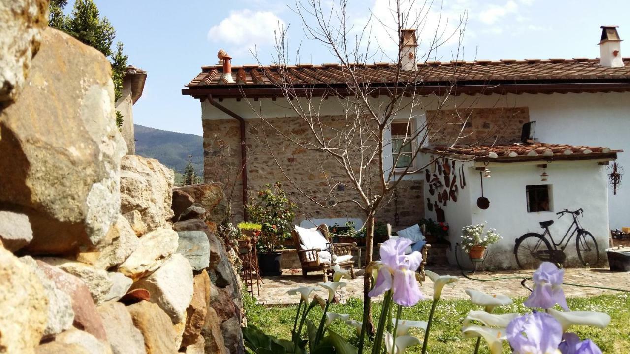 Il Colle Calci Βίλα Εξωτερικό φωτογραφία